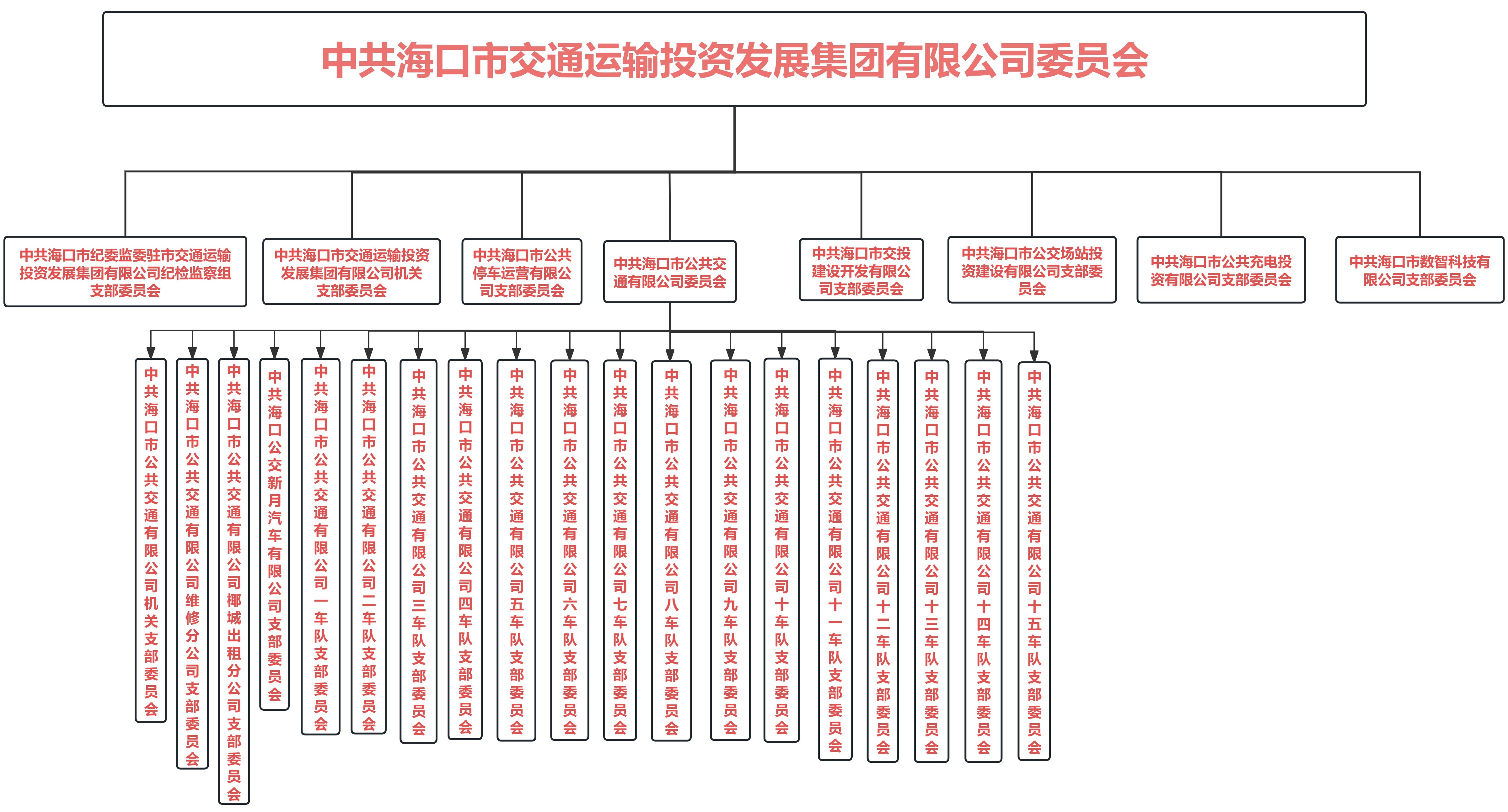 中共海口市交通運(yùn)輸投資發(fā)展集團(tuán)有限公司結(jié)構(gòu)圖.jpg